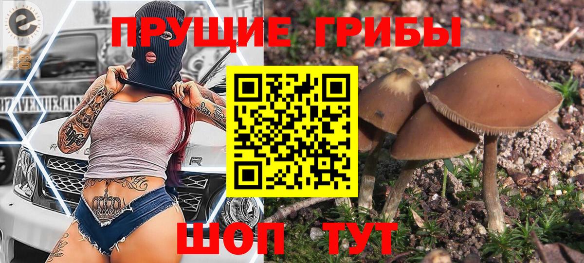 Псилоцибиновые грибы ЛСД Краснодар